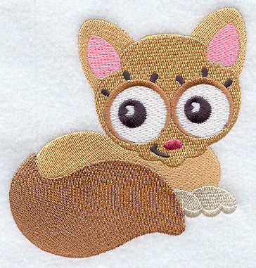 Wide-Eyed Baby Girl Kitten