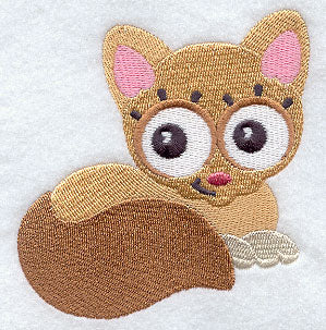 Wide-Eyed Baby Girl Kitten