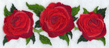 Rose Border