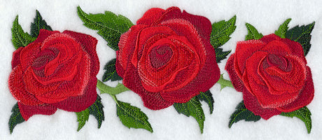 Rose Border