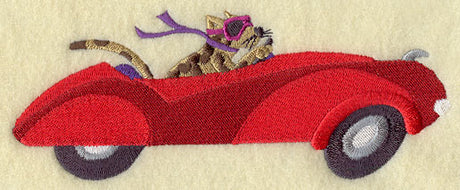 Cheetah Racer in Racecar