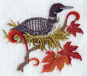 Canada Common Loon and Maple Leaf Medley