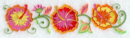 Jacobean Hibiscus Border