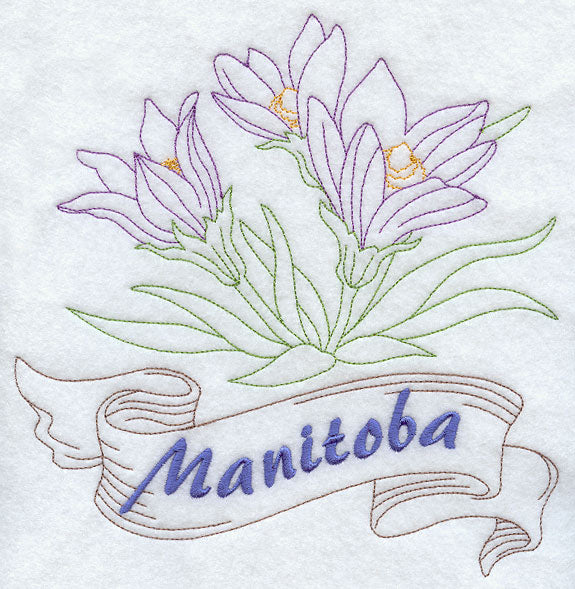 Manitoba - Prairie Crocus (Redwork)