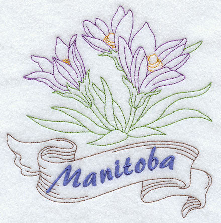 Manitoba - Prairie Crocus (Redwork)