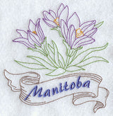 Manitoba - Prairie Crocus (Redwork)