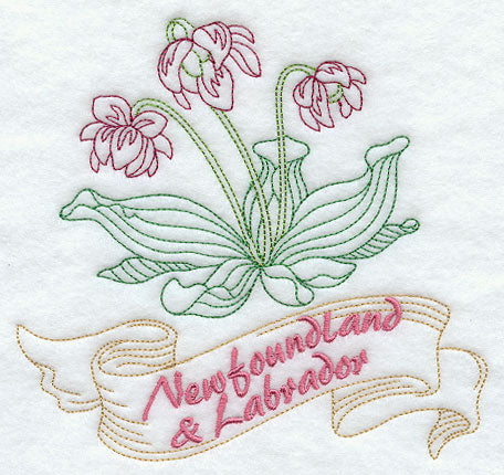 Newfoundland and Labrador - Pitcher Plant (Redwork)