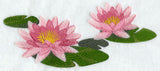 Water Lily Border