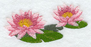 Water Lily Border
