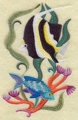 Beauty is Only Fin Deep