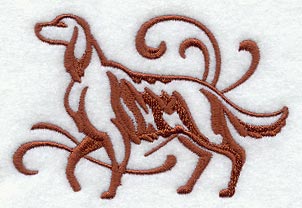 Graceful Irish Setter