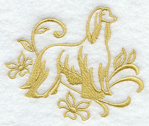 Graceful Afghan Hound