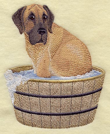 Great Dane in Bathtub