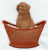 Golden Retriever in Bathtub