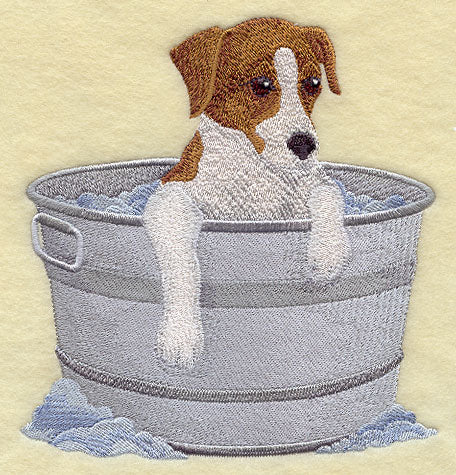 Jack Russell Terrier in Bathtub