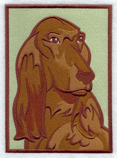 Irish Setter