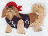 Biker Shih Tzu