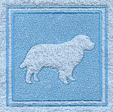 Saint Bernard (Embossed)