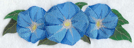 Morning Glory Border