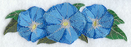 Morning Glory Border