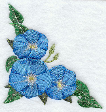 Morning Glory Corner