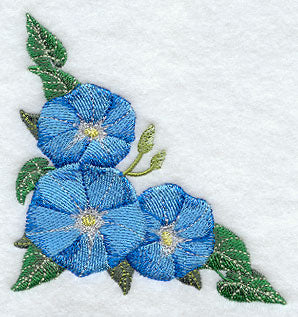 Morning Glory Corner