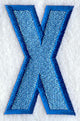 Collegiate Letter X (5 Inch)