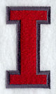 Collegiate Letter Iota (5 Inch)