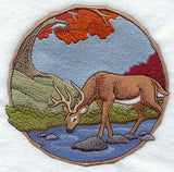 Walk in the Woods - Deer