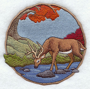 Walk in the Woods - Deer