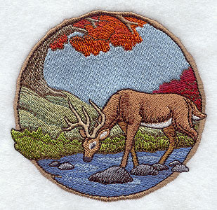 Walk in the Woods - Deer