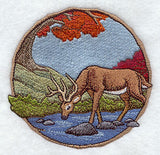 Walk in the Woods - Deer