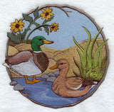 Walk in the Woods - Mallards