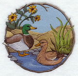 Walk in the Woods - Mallards