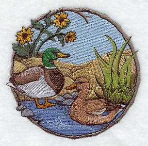 Walk in the Woods - Mallards