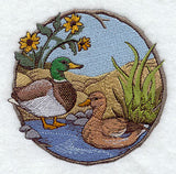 Walk in the Woods - Mallards