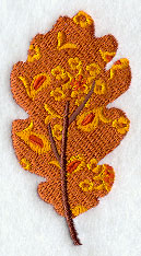 Kaleidoscope Oak Leaf