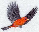 Flying Scarlet Tanager