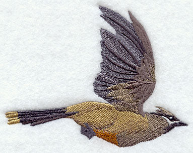 Flying Cedar Waxwing