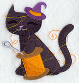 Black Cat in Orange Glow