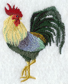 Asian Rooster