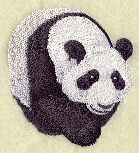 Asian Panda