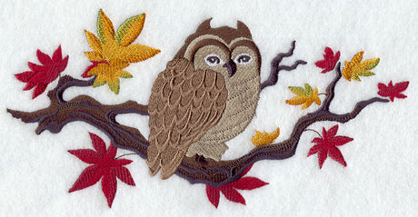 Asian Owl with Autumn Leaves