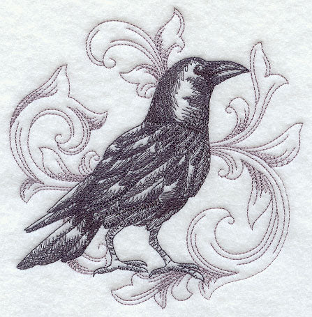 Crow with Baroque Background