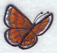 Fluttering Butterfly I