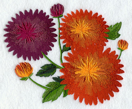 Chrysanthemums in Bloom