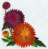 Chrysanthemum Corner