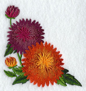 Chrysanthemum Corner