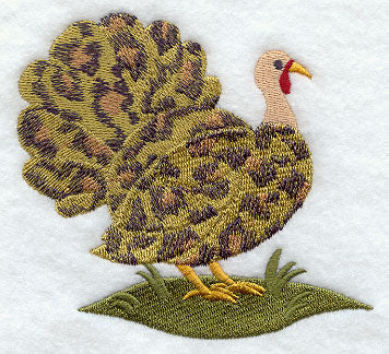 Wild Turkey - Leopard