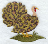 Wild Turkey - Leopard